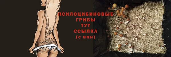 мдпв Красноперекопск