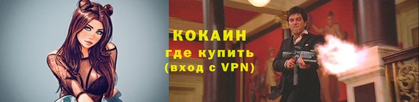 mdpv Краснослободск