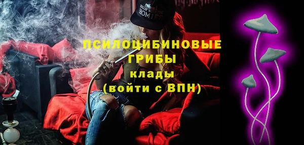дживик Козловка