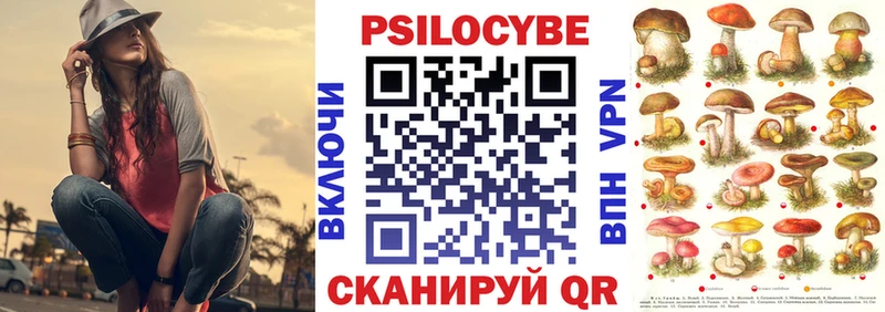 Псилоцибиновые грибы Cubensis  Купить  Гусь-Хрустальный 